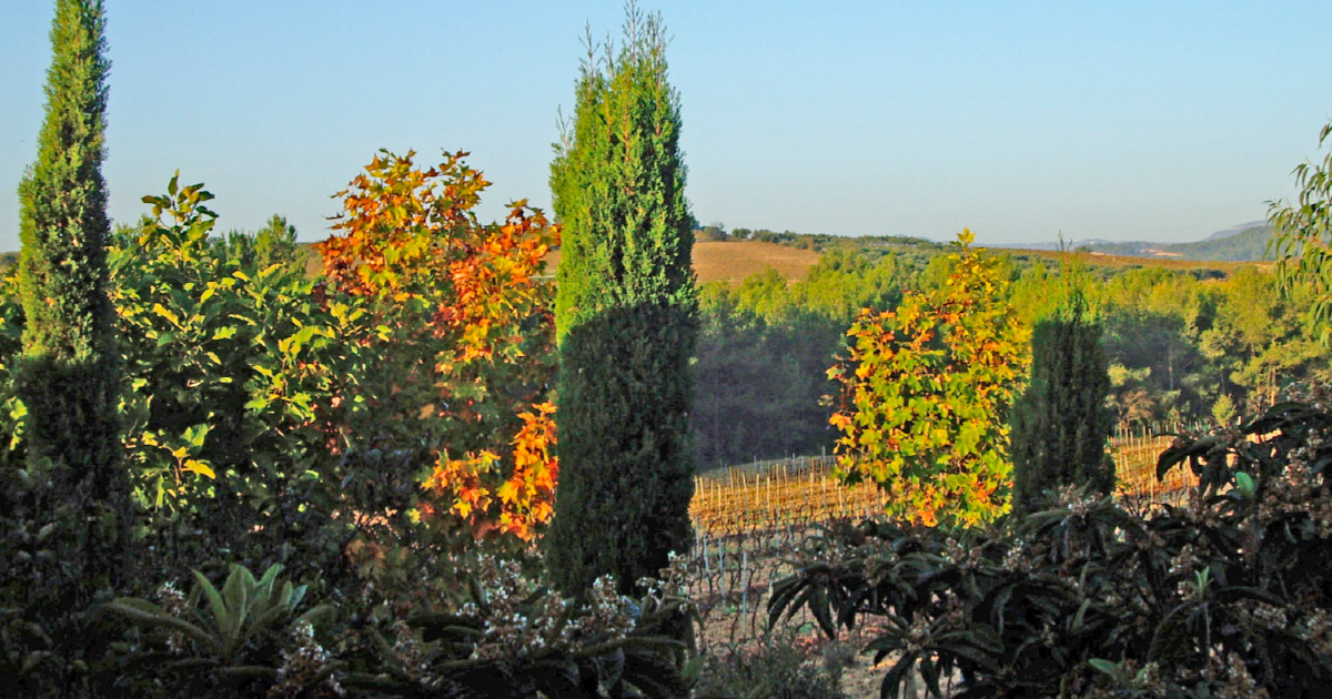 Espanja – Cavas Naveran