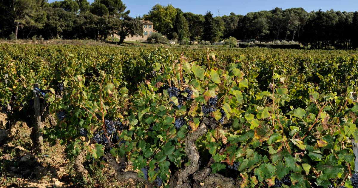 Ranska – Château Maucoil