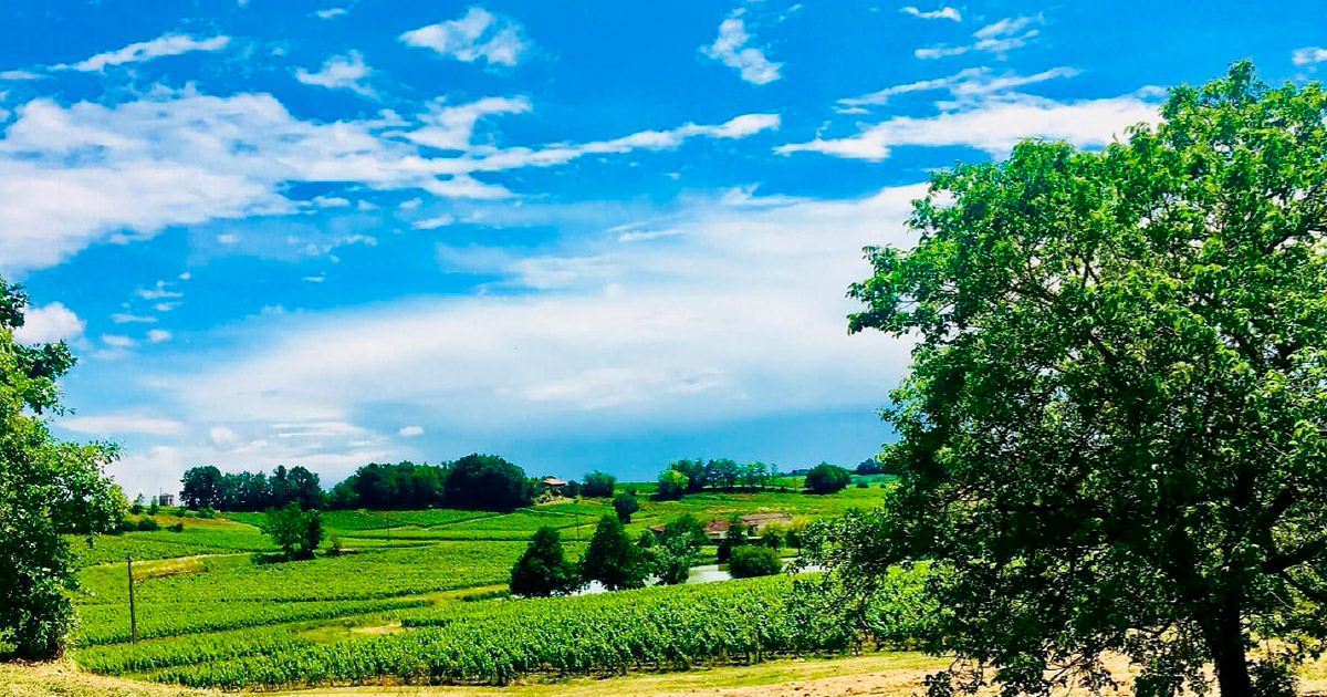Ranska – Château Clos de Boüard