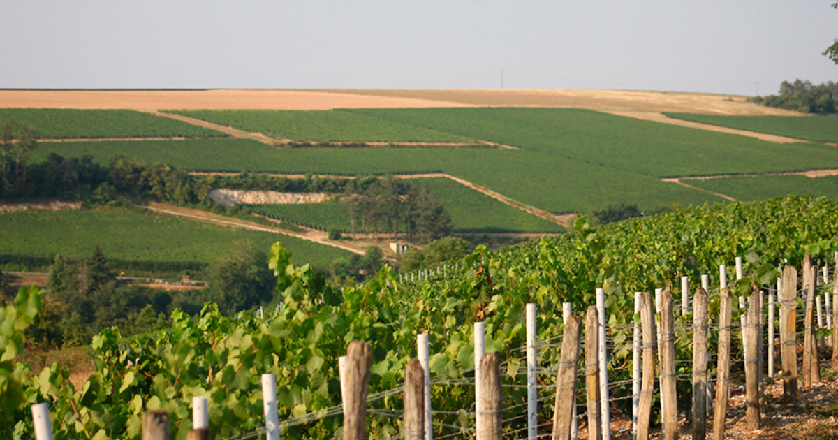 Ranska – Domaine Gautheron