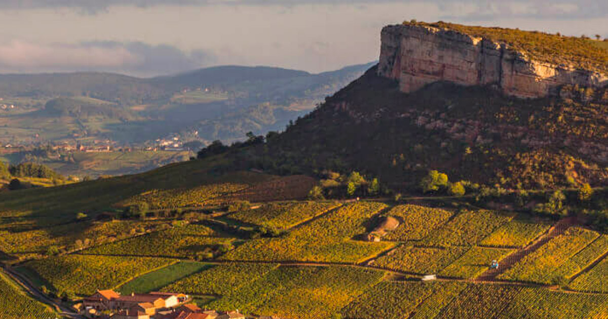 Ranska – Vignerons des Terres Secretes