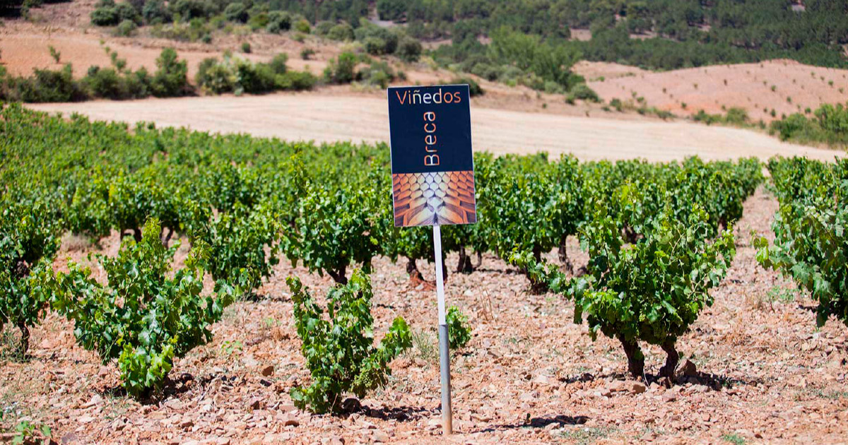 Espanja – Bodegas Breca