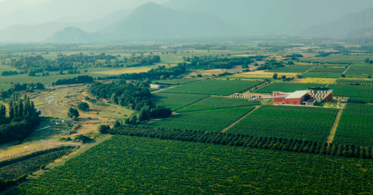 Georgia – Askaneli