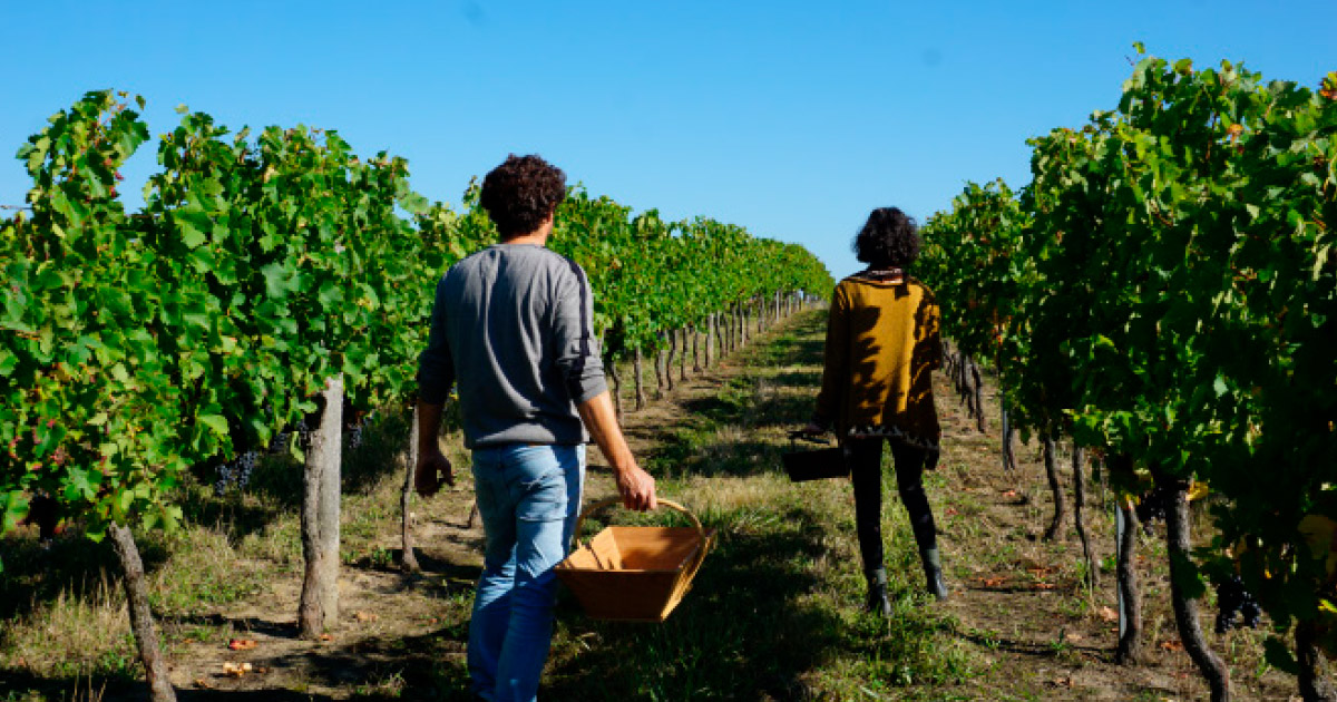 Ranska – Frédéric Bellot